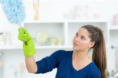 Dusting and Shining: Secrets to a Magical Clean Home
